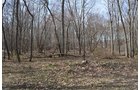 Property photo 100 - REAL ESTATE & PERSONAL PROPERTY AUCTION, 140 Acres offered in 8 Tracts or Combinations in Steuben County